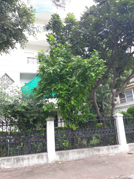 gayatri mantion parking