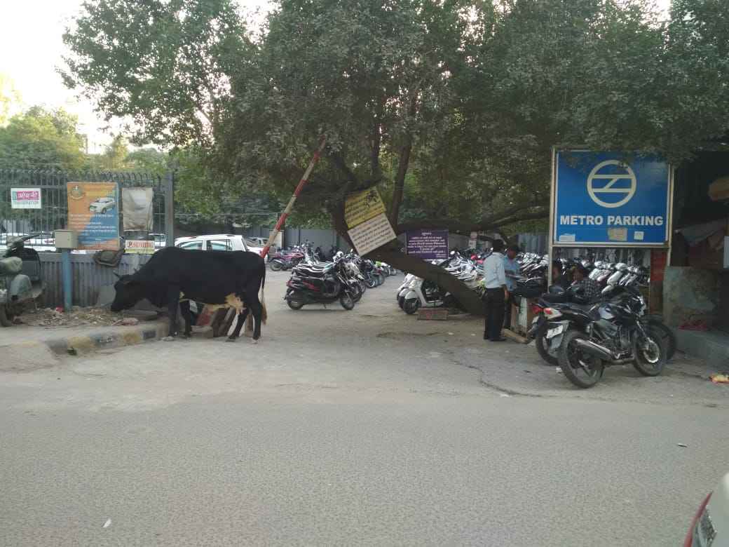kohat enclave metro station gate no 2 parking